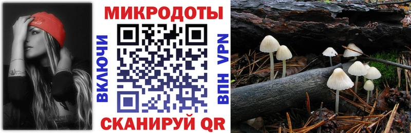 Купить  Северск  Галлюциногенные грибы GOLDEN TEACHER 